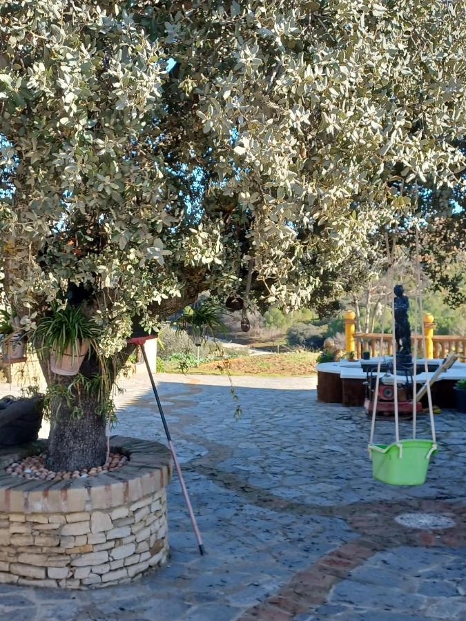Villa Martinez Alquiler Rural Isabel Alcalá del Valle 外观 照片